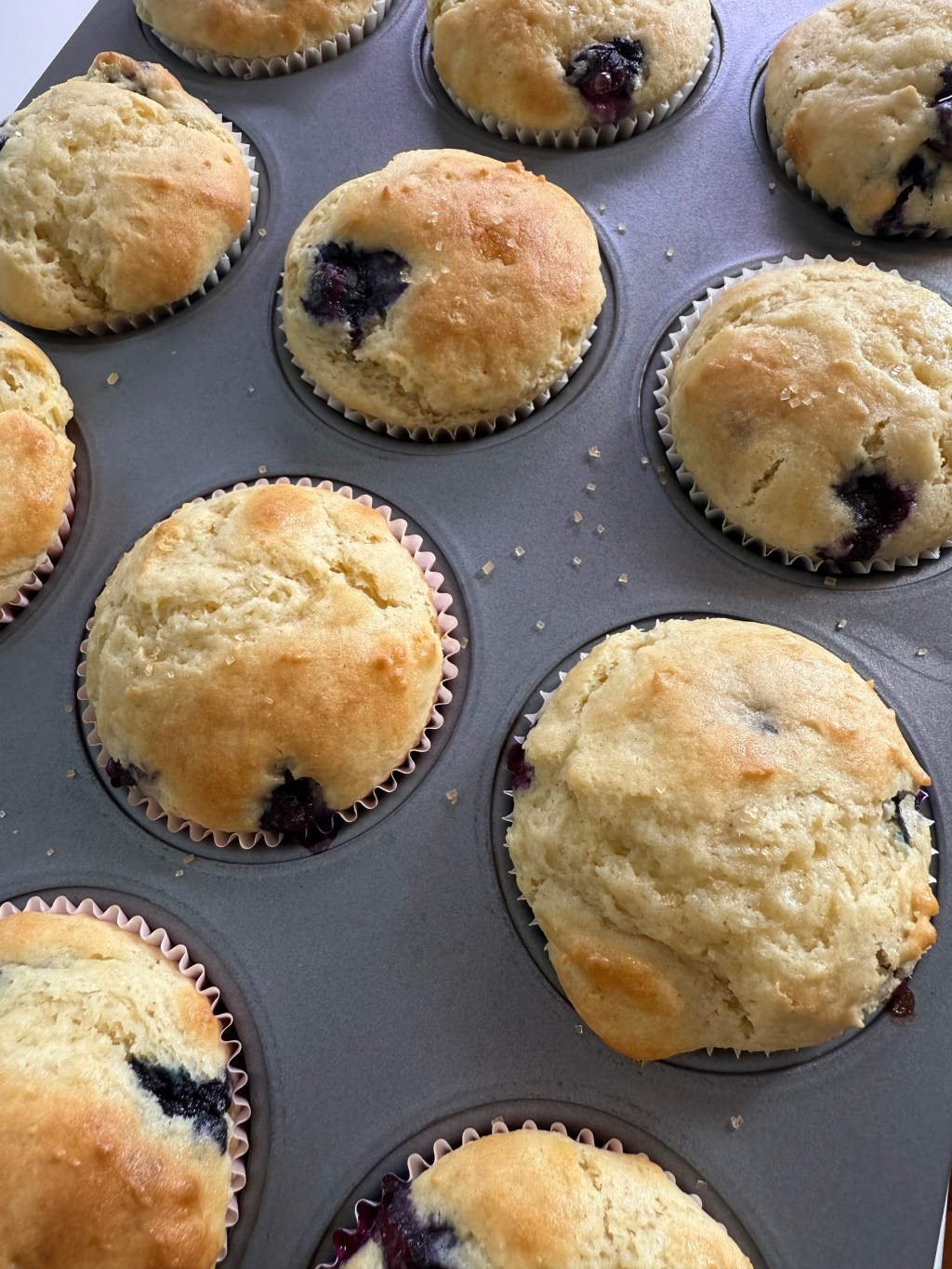 Blueberry Muffins 